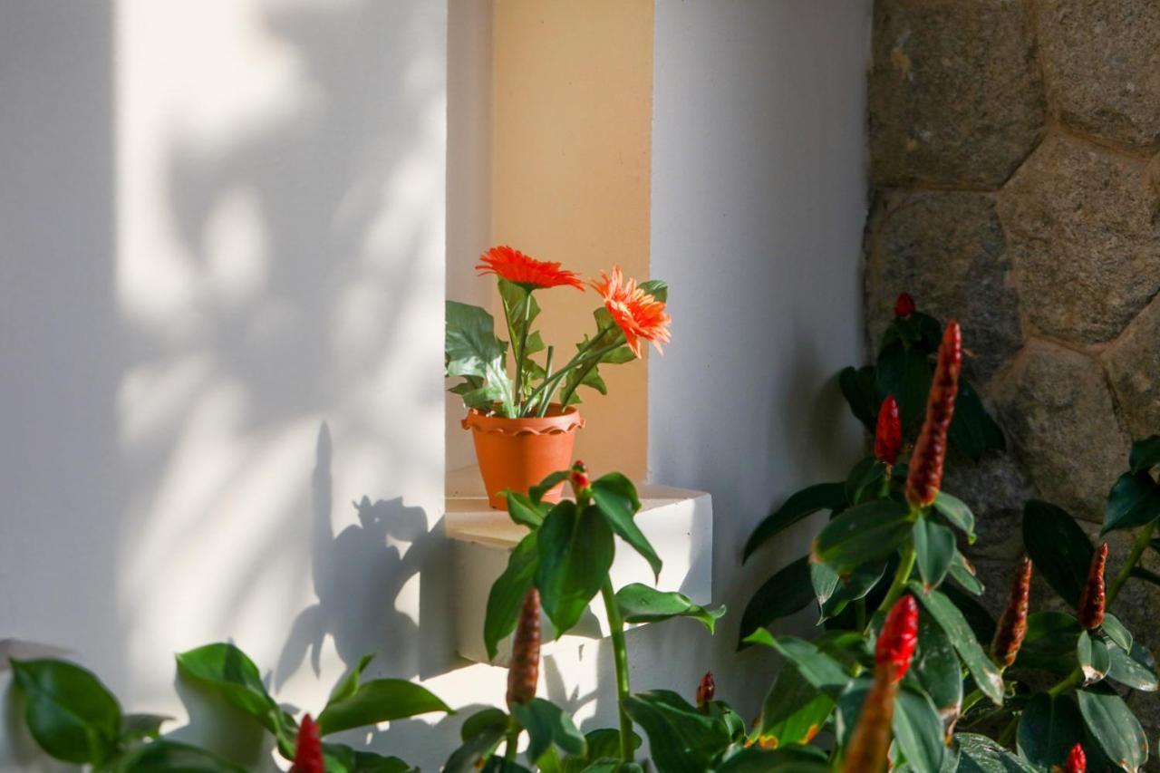 Prima Villas Karon Phuket Ban Karon Экстерьер фото